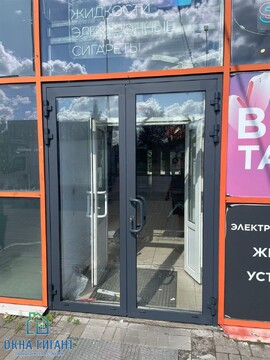 двухстворчатая входная группа в магазин