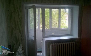пластиковая балконная дверь с окном